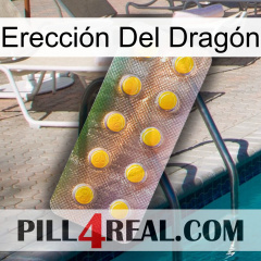 Erección Del Dragón new11